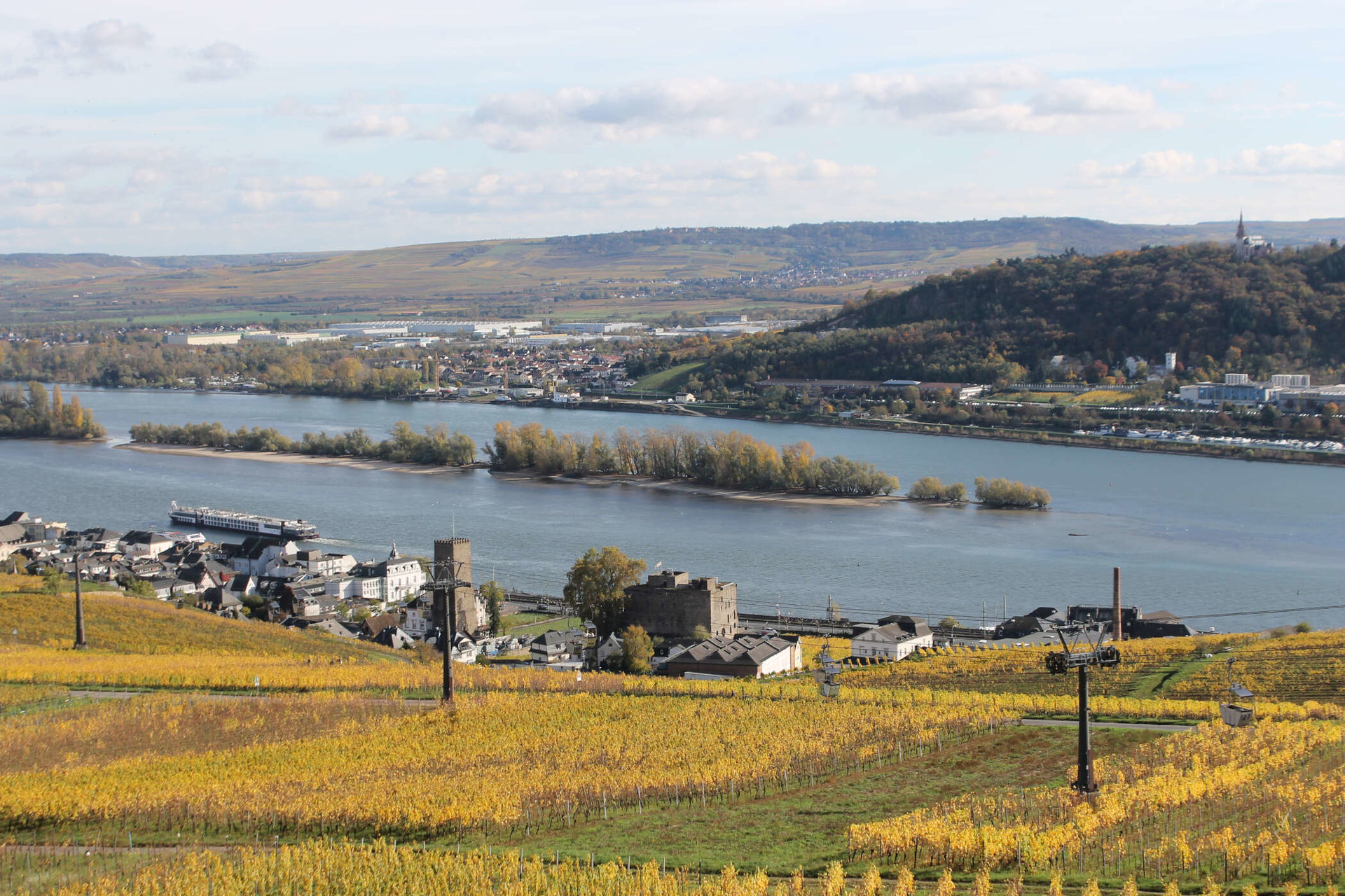 Oestrich Winkel liegt in der Nähe von Rüdesheim