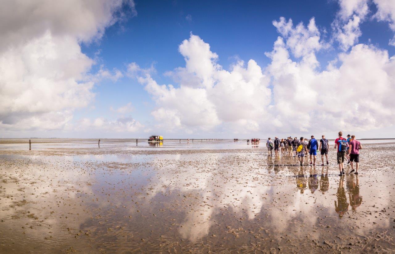 Krabbenkutter und Muschelfischer an der herbstlichen Nordsee erleben, Herbsturlaub mit Kindern, als Paar oder allein - Hotel Leuchtfeuer Horumersiel Hotel Leuchtfeuer Horumersiel
Nordseeküste Hotel am Meer
Urlaub für Paare an der Nordsee
Nordseeurlaub Horumersiel
Wellnesshotel an der Nordsee für Paare
Urlaub Nordseeküste allein
Hotel Nordseeküste Horumersiel
Nachhaltiger Urlaub Nordsee
Erholung für Alleinreisende an der Nordsee
Wangerland Hotel Leuchtfeuer
Romantisches Wochenende Nordseeküste
Entspannung und Wellness Horumersiel
Auszeit an der Nordsee für Paare
Spa Hotel Horumersiel
Wellness Wochenende Nordsee für Zwei