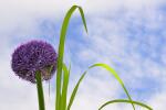 Naturheilkunde & Regeneration im Landhotel Saarmosel