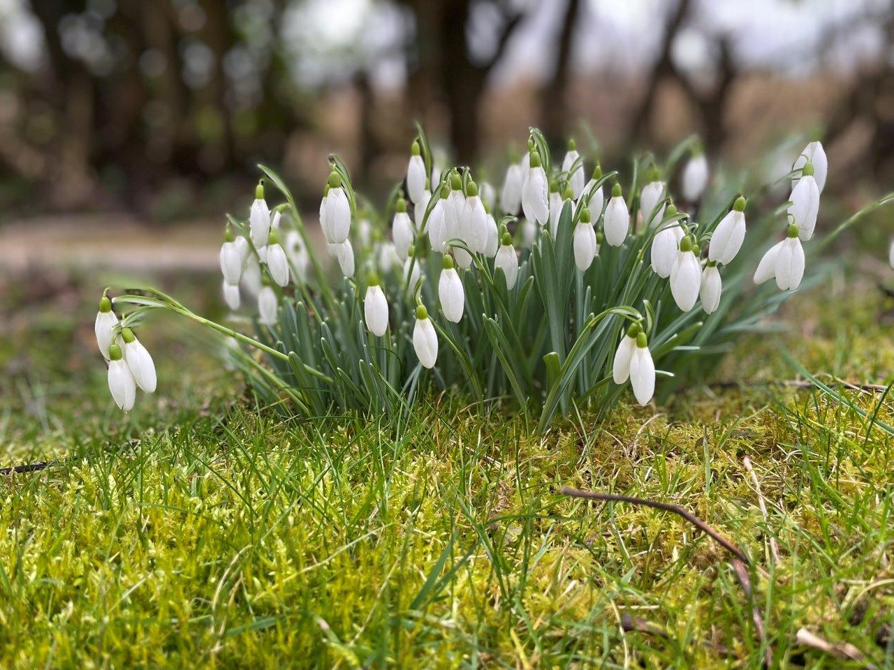 Urlaub Nordsee,
Frühlingsurlaub Nordseeküste,
Hotel urlaub Horumersiel,
Hotel urlaub Nordseeküste,
Kurzurlaub Horumersiel,
urlaub Horumersiel,
urlaub Wattenmeer,
Kurzurlaub Nordseeküste,
Frühlingsurlaub Nordsee,
Kurzurlaub Wattenmeer,
urlaub Nordseeküste,
Frühlingsurlaub,
Hotel urlaub Wattenmeer,
Kurzurlaub Nordsee,
Hotel Urlaub Nordsee,
