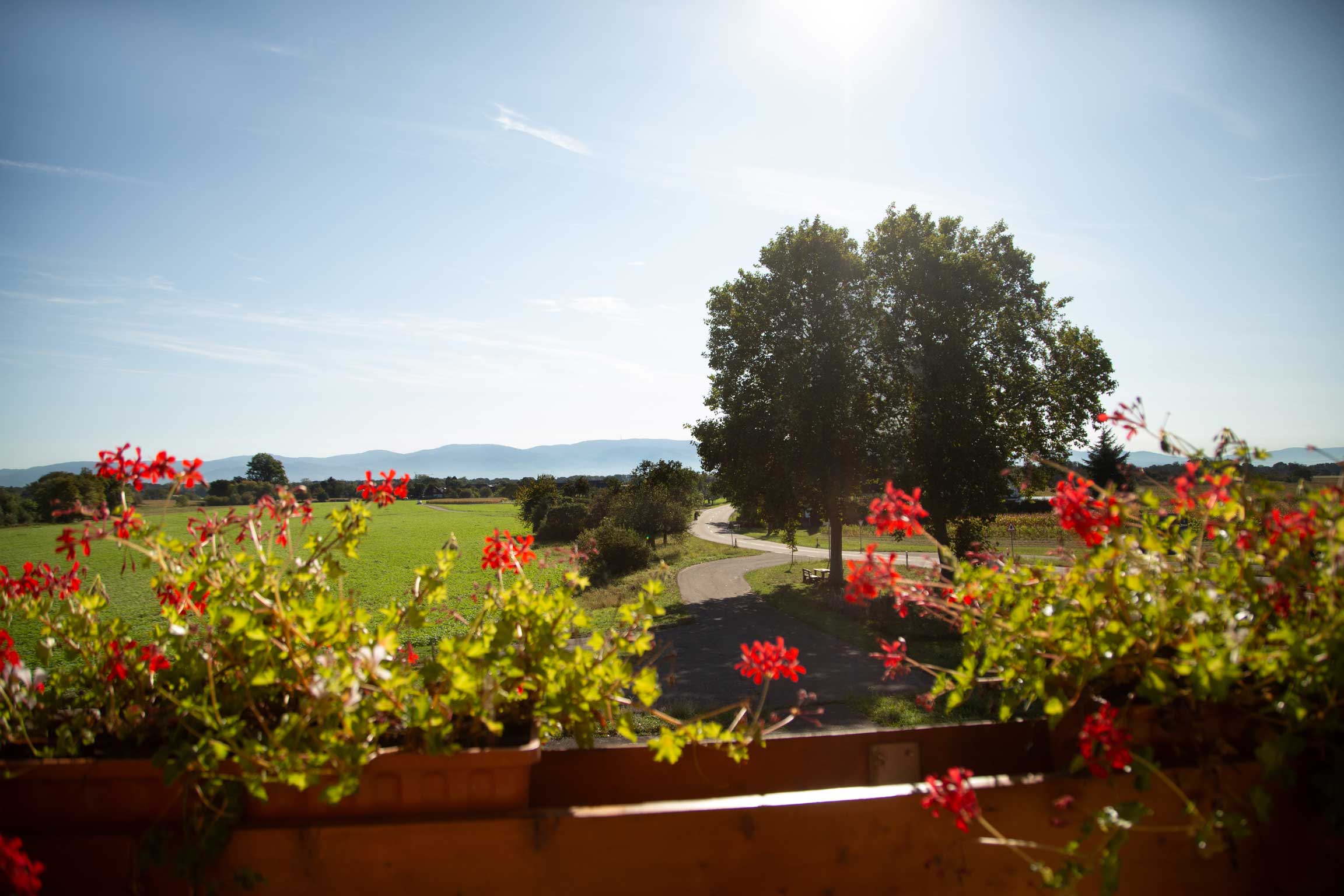 Aussicht Zimmer Hotel Ratz