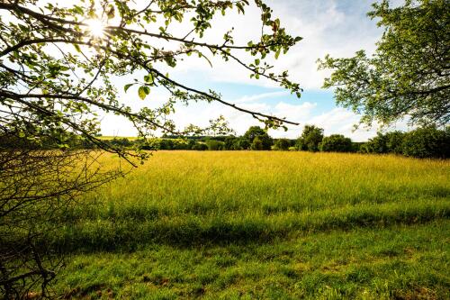 Arrangements im Hotel Sonnenhof Perl