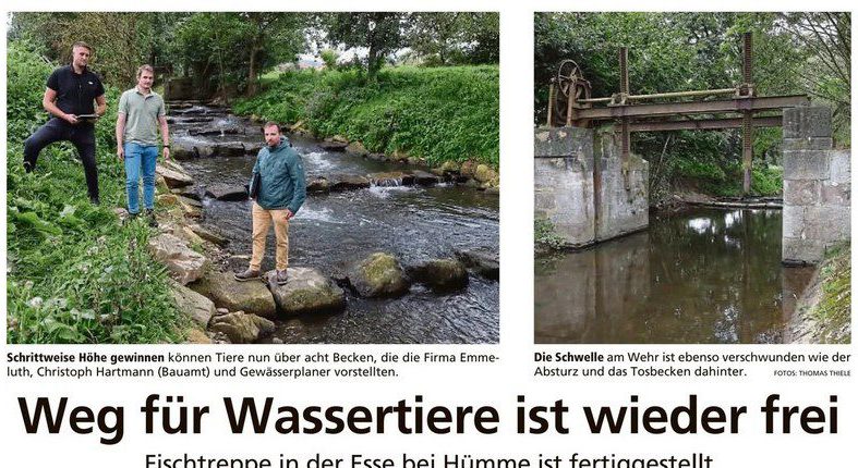 Aktuelles aus dem dsp Ingenieurbüro für Bauwesen Aktuelles aus dem dsp Ingenieurbüro für Bauwesen