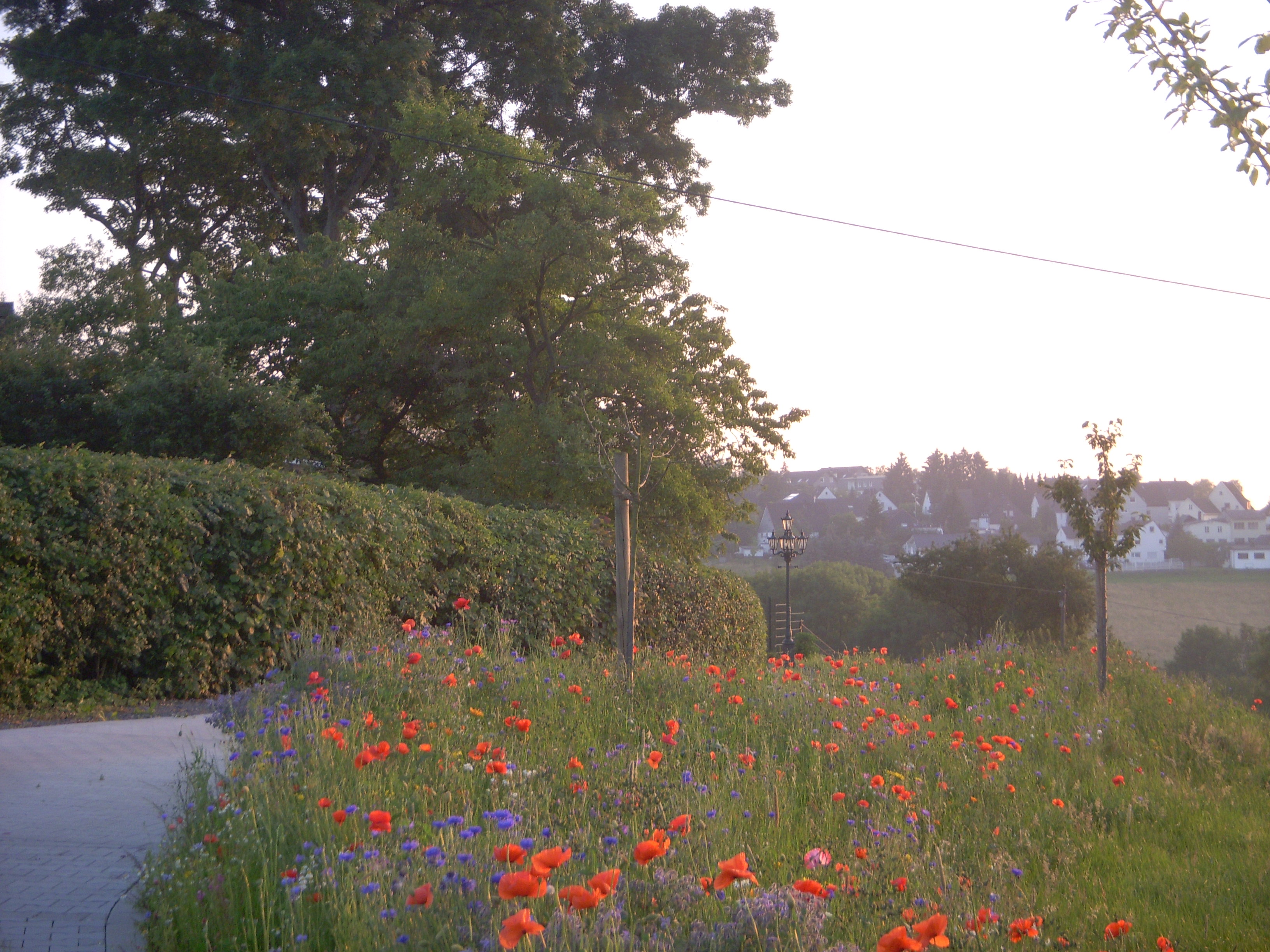 Detlev Pauls Garten- und Landschaftspflege inEnnepetal