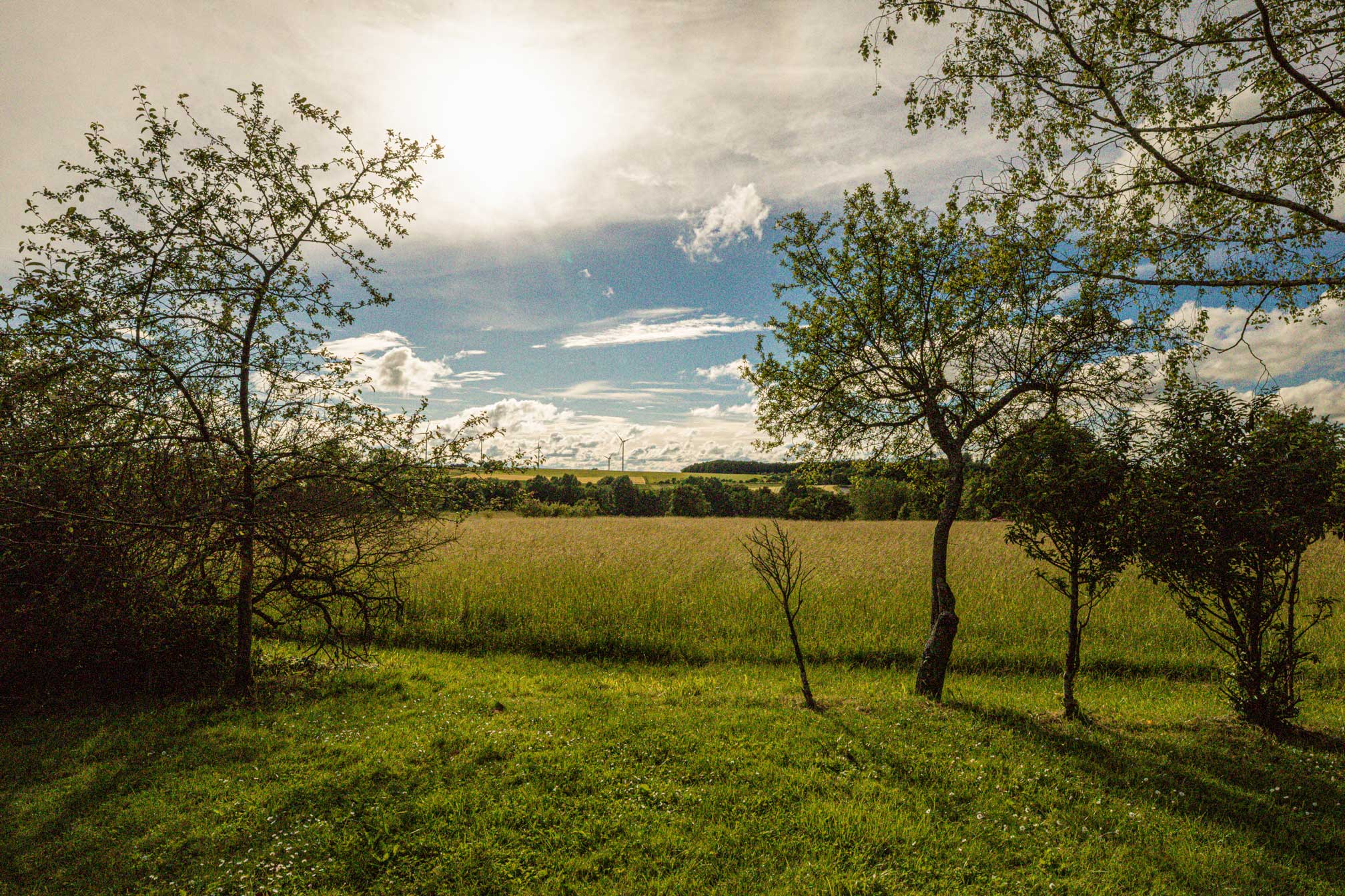 Landhaus Hotel & Restaurant Sonnenhof in Perl