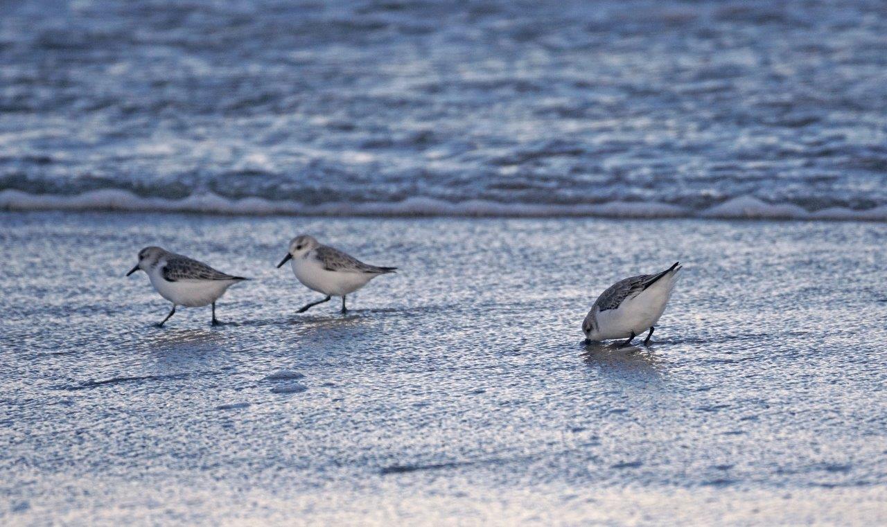 Hotel Leuchtfeuer Horumersiel
Nordseeküste Hotel am Meer
Urlaub für Paare an der Nordsee
Nordseeurlaub Horumersiel
Wellnesshotel an der Nordsee für Paare
Urlaub Nordseeküste allein
Hotel Nordseeküste Horumersiel
Nachhaltiger Urlaub Nordsee
Erholung für Alleinreisende an der Nordsee
Wangerland Hotel Leuchtfeuer
Romantisches Wochenende Nordseeküste
Entspannung und Wellness Horumersiel
Auszeit an der Nordsee für Paare
Spa Hotel Horumersiel
Wellness Wochenende Nordsee für Zwei
