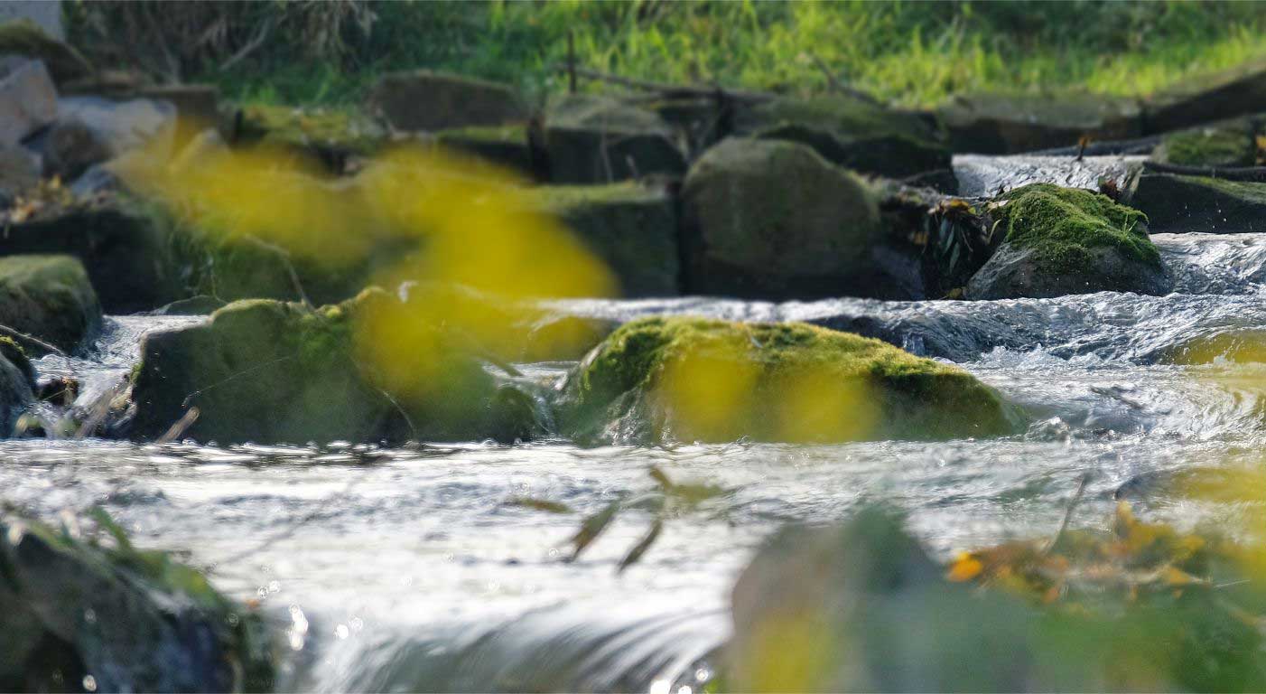 Leistung Gewässer DSP Ingenieurbüro für Bauwesen
