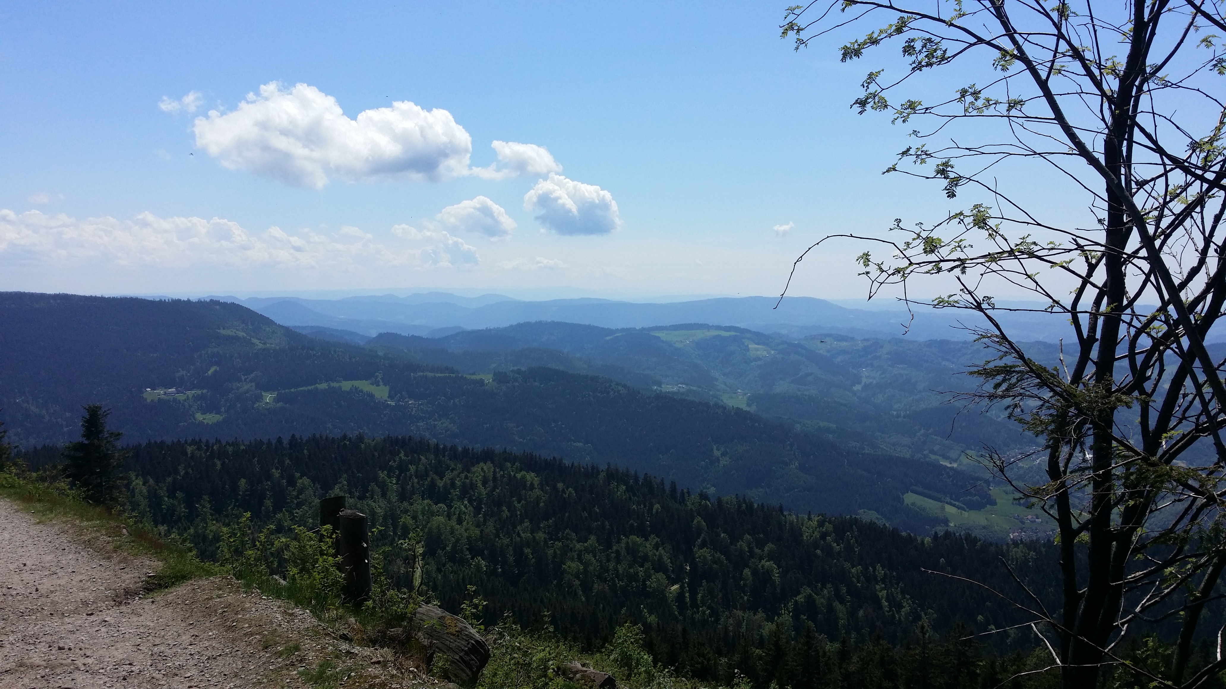 Radeln und Wandern im Elsass und am Rhein 