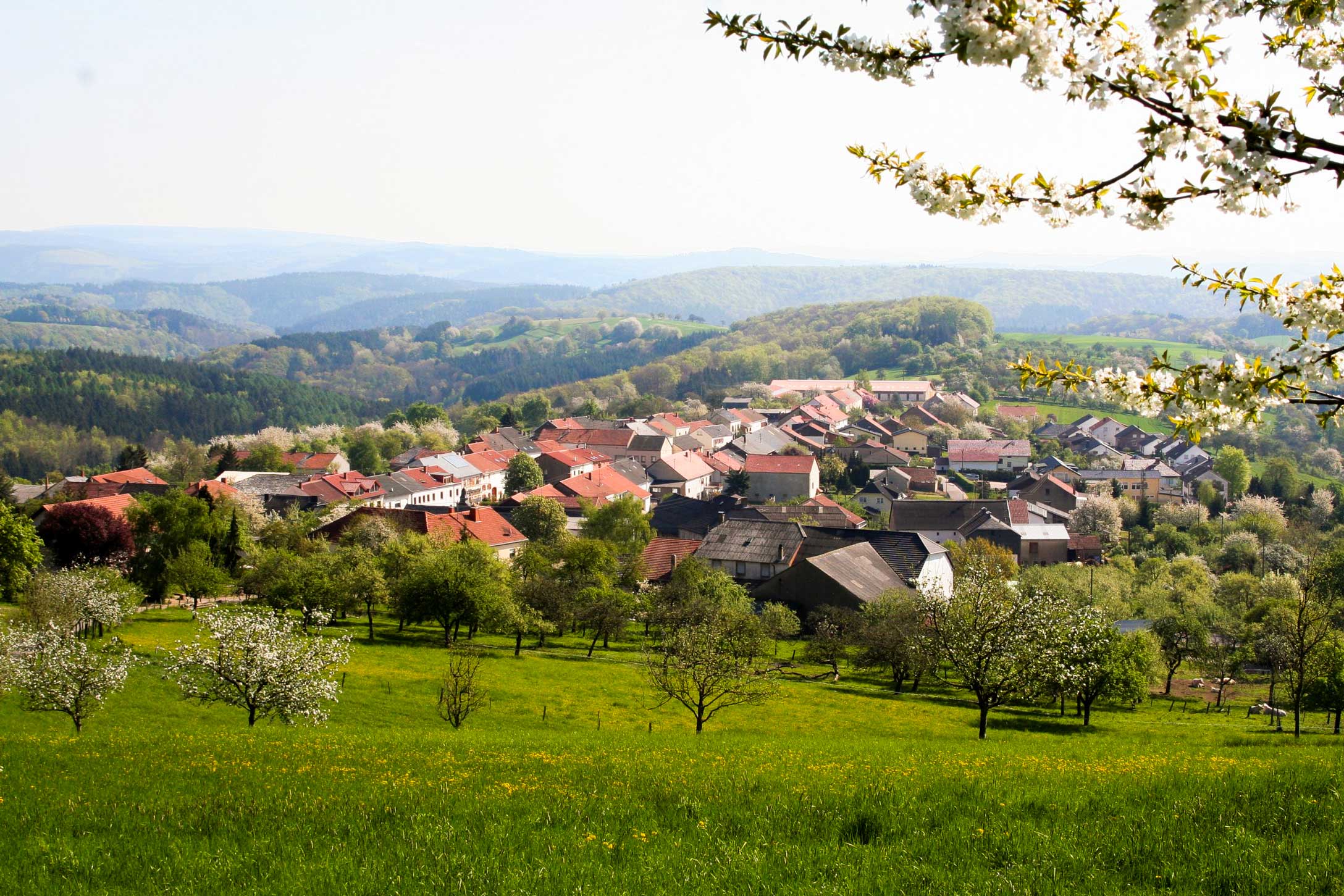 Saar-Mosel-Region