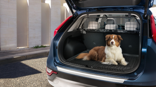 Kia Fahrzeug mit geöffnetem Kofferrau, liegendem Hund und Gitter für Schutz