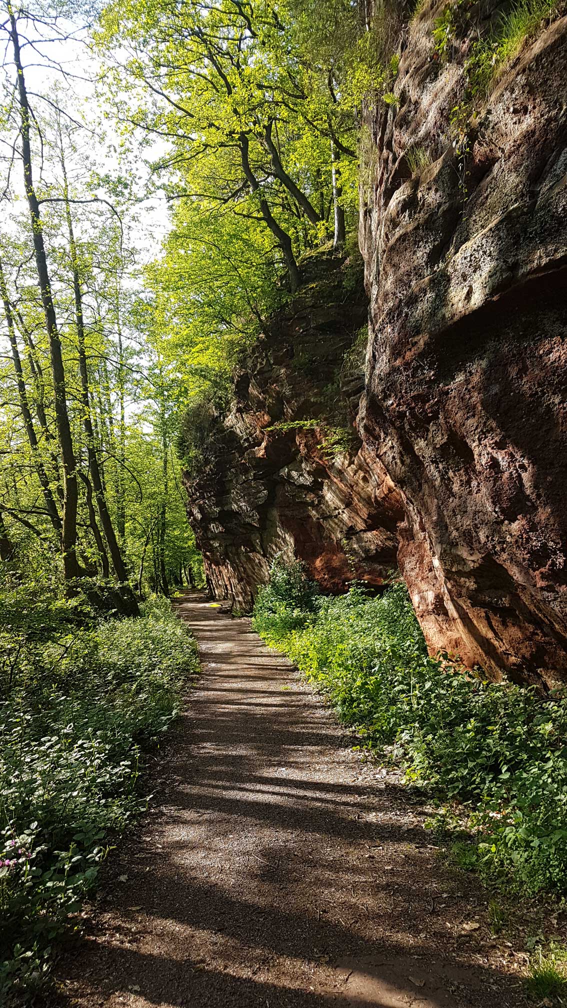 Umgebung Dreiländereck