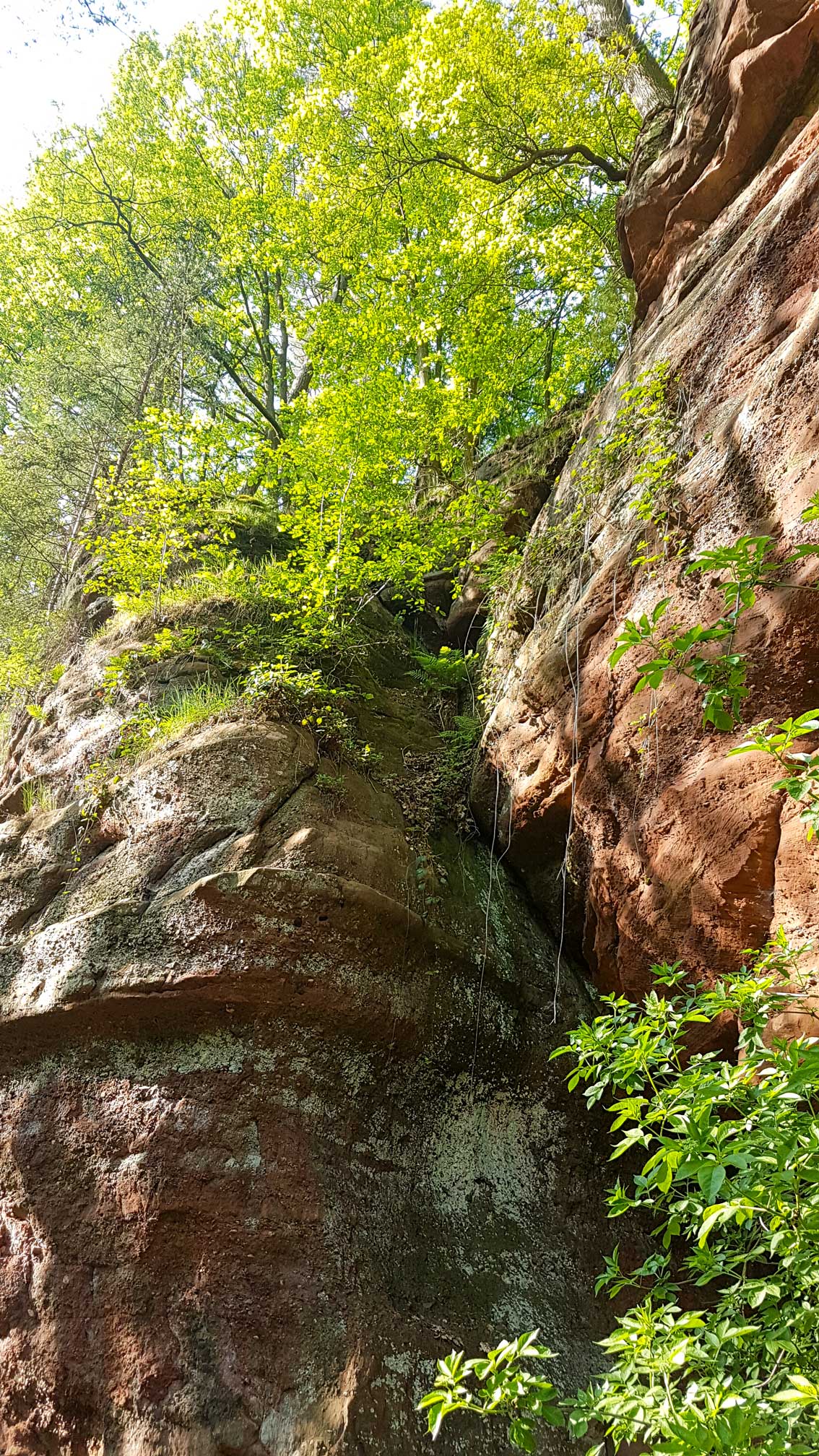 Umgebung Dreiländereck