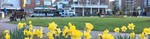 Das Hotel Leuchtfeuer am Dorfplatz Wangerland Horumersiel im Frühling.