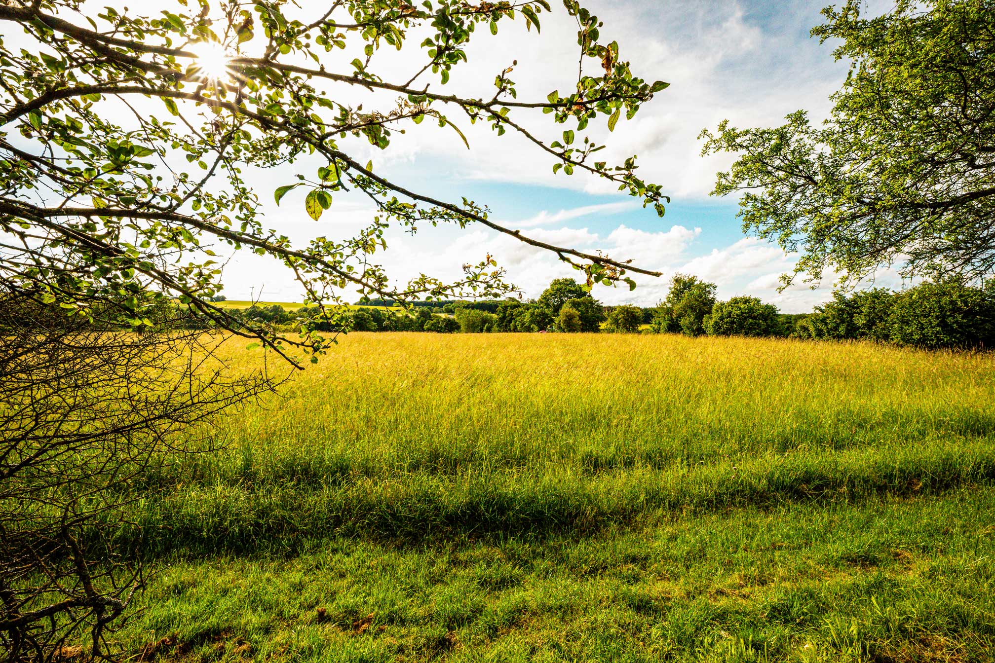 Landhaus Hotel & Restaurant Sonnenhof in Perl