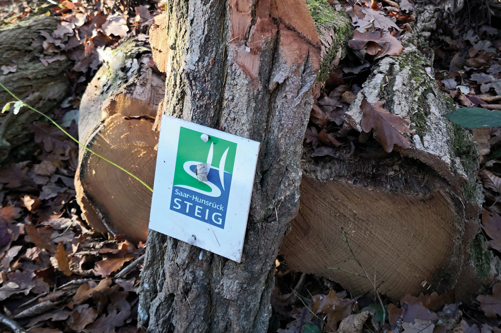 Umgebung Dreiländereck