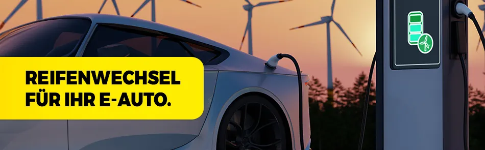 Reifen-Wechsel bei Gummi-Mayer Car Service in Landau
