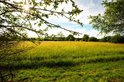 Arrangements im Hotel Sonnenhof Perl