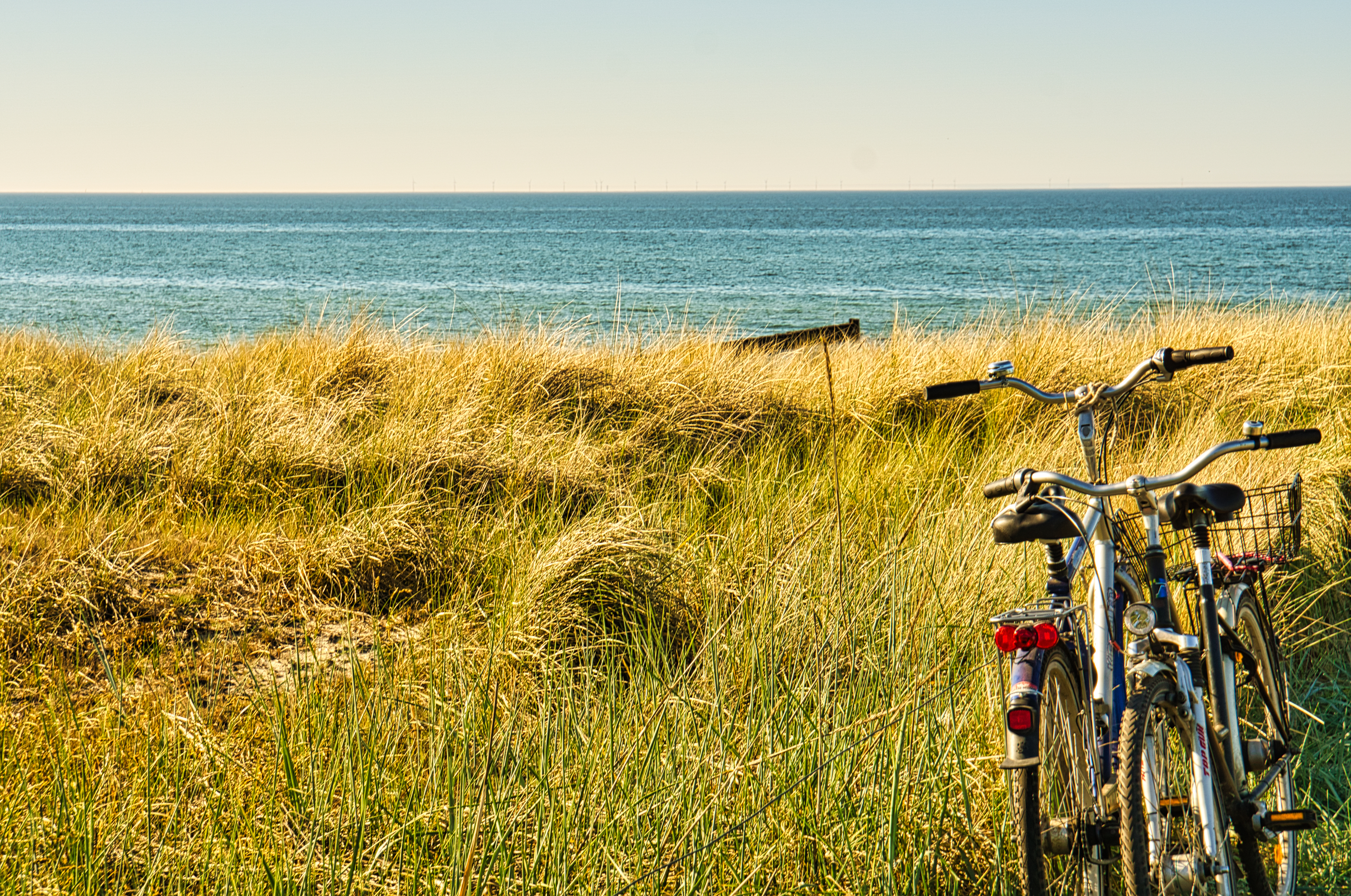 Hotel Nordsee, Hotel Leuchtfeuer Horumersiel, Hotel Nordseeküste, Hotel Horumersiel Wangerland, Ostern, Osterferien, Osternest, Osterhase, Frühlingsferien Kinderprogramm, Frühlingszeit, Frühling an der Nordsee, Angebote Nordsee Frühling, Angebote Nordseeküste Frühling Hotel, Osterferien an der Nordsee, Ostern an der Nordseeküste Hotel,