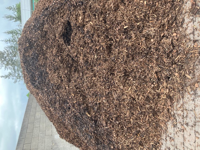 Mulch