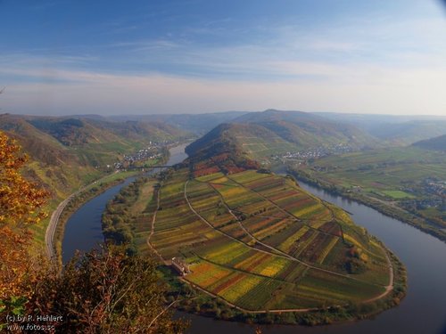 Mosel - Hotel Weingut Josef Dehren