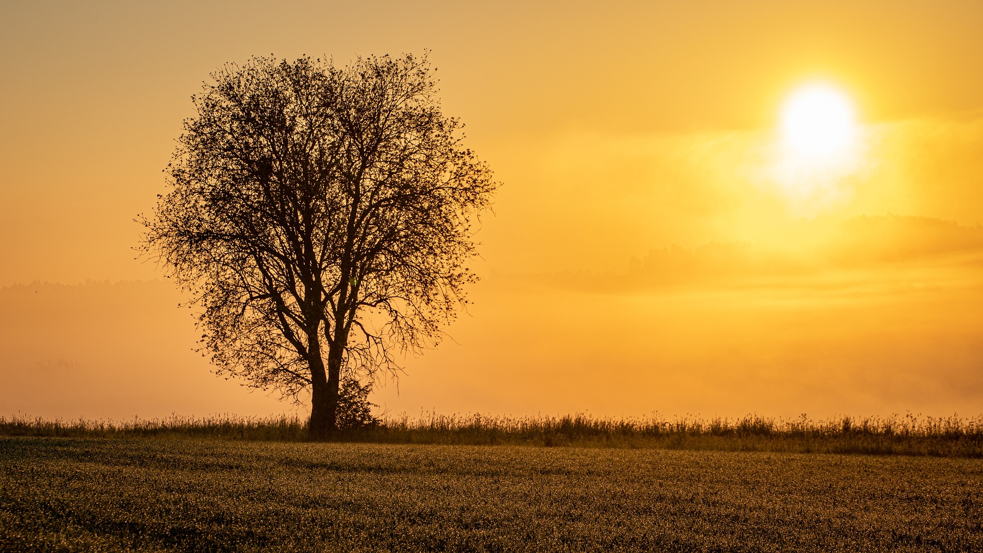 Friedhöfe Friedhöfe