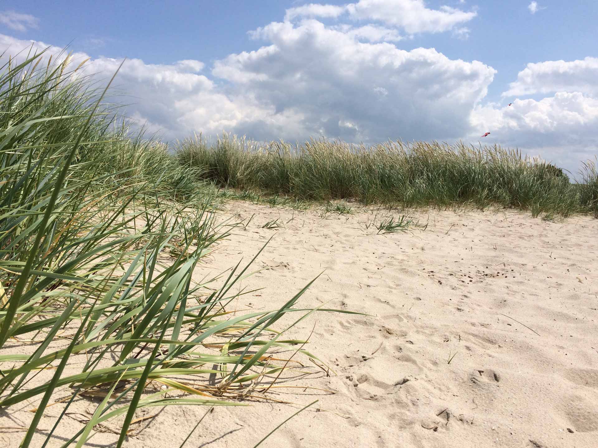 wangerland hotel,
hotel ostfriesland norden,
hotels nordseeküste ostfriesland,
hotel ostfriesland,
urlaub an der see,
hotel nordseeküste wellness,
wellness hotels nordseeküste,
wellnesshotel nordsee,
hotels ostfriesland nordseeküste,
hotel nordseeküste,
hotel in horumersiel,
nordseeküste hotels angebote,
kurzurlaub nordsee günstig,
kurzurlaub hotel nordsee,
hotels an der ostfriesischen nordseeküste,
hotels deutsche nordseeküste,
nordsee hotel,
urlaub an der nordsee hotel,
nordseeurlaub hotel,
schöne hotels an der nordseeküste,
urlaub an der nordseeküste,
familienurlaub nordsee hotel,
nordsee urlaub,
wellness wochenende nordseeküste,
