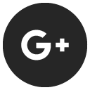  Icon Google