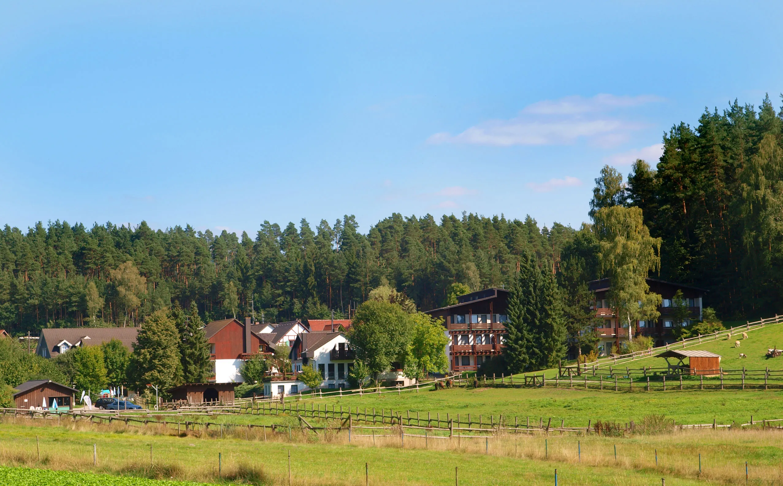 Waldhotel Bächlein Waldhotel Bächlein