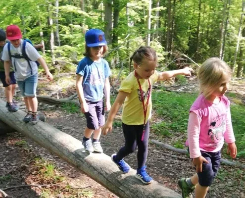 kleine Entdecker auf dem Waxl-Weg kleine Entdecker auf dem Waxl-Weg